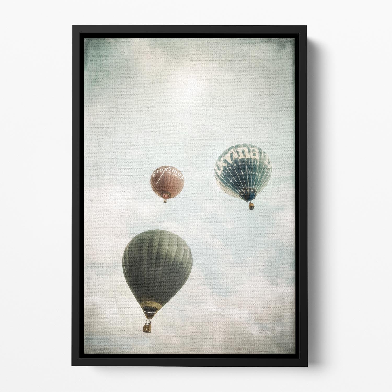 Freedom Floating Framed Canvas - 1x - 2