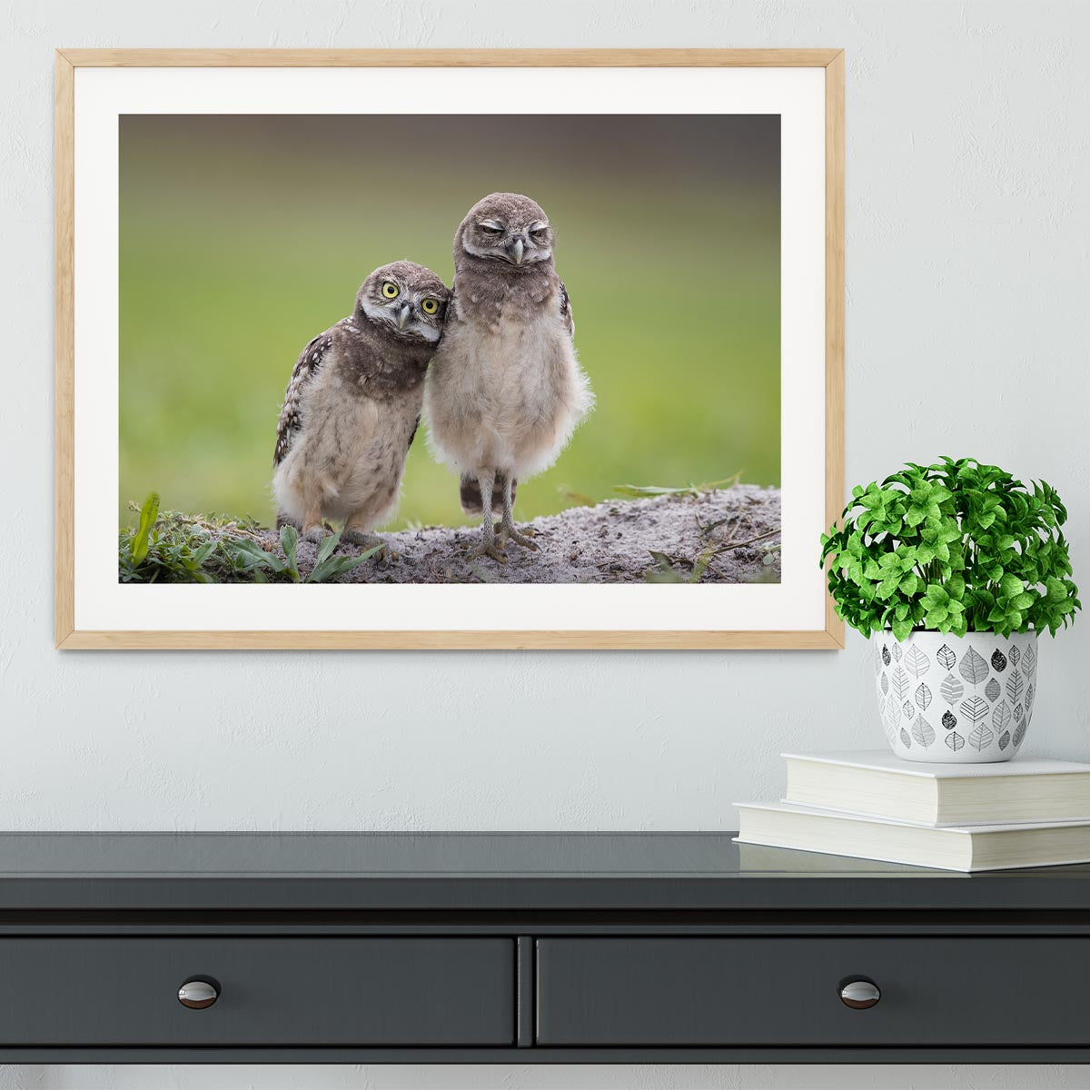 Friends Framed Print - 1x - 3