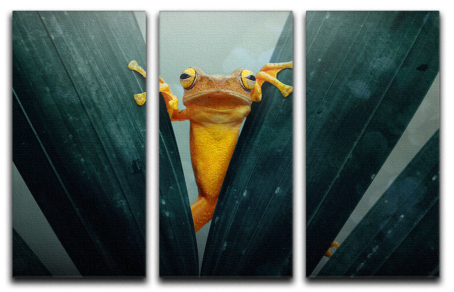 Gold Frog 3 Split Panel Canvas Print - 1x - 1