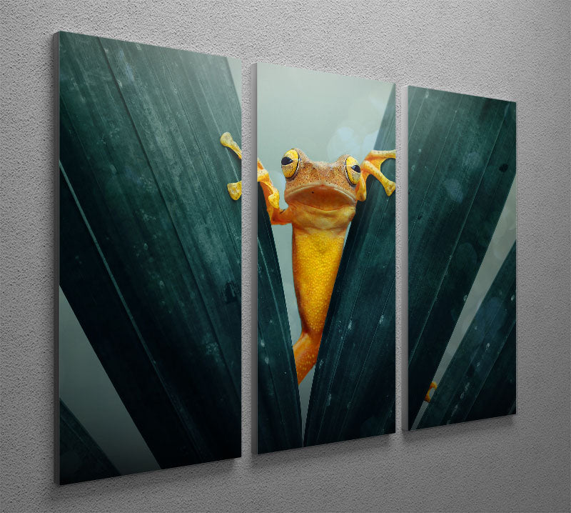 Gold Frog 3 Split Panel Canvas Print - 1x - 2