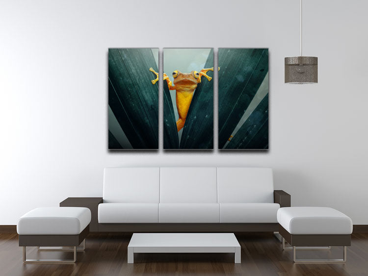 Gold Frog 3 Split Panel Canvas Print - 1x - 3