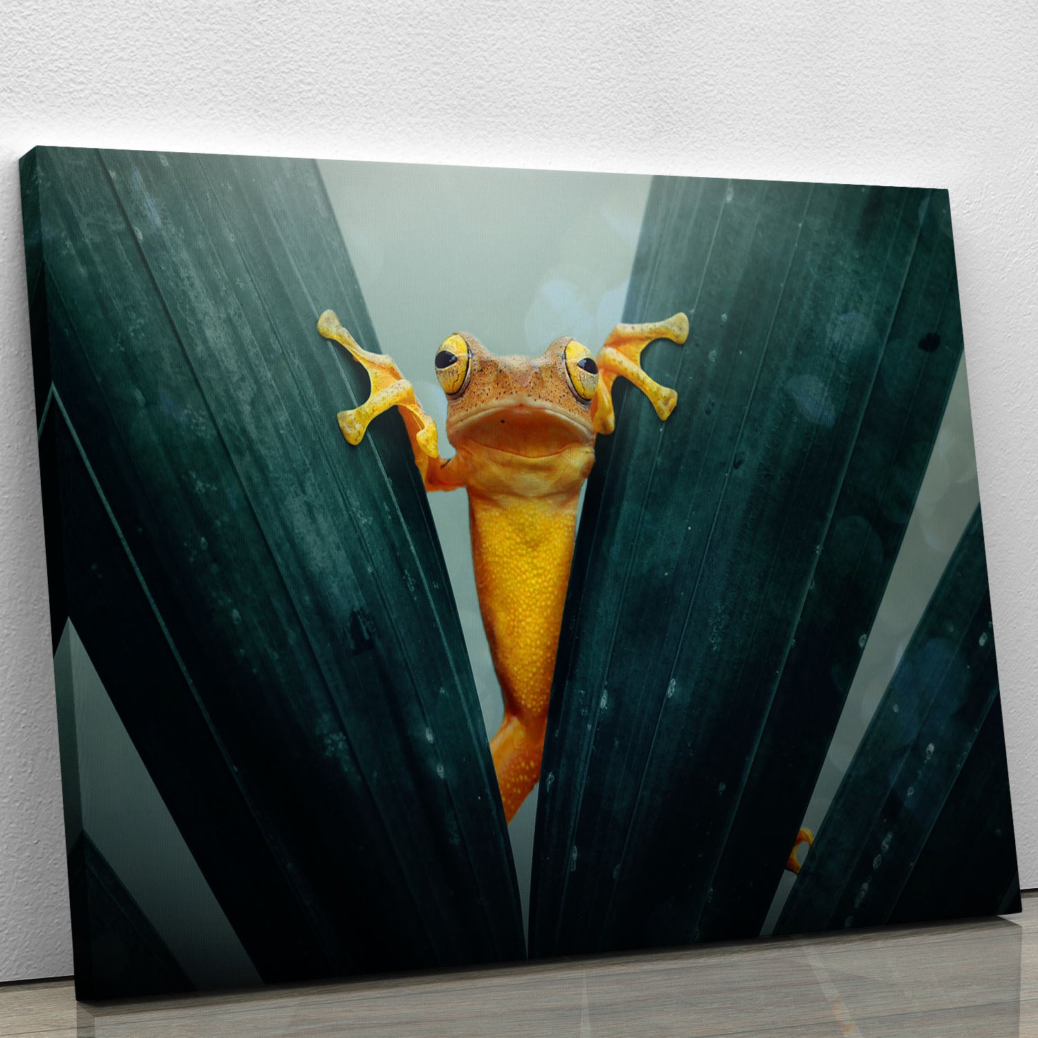 Gold Frog Canvas Print or Poster - 1x - 1