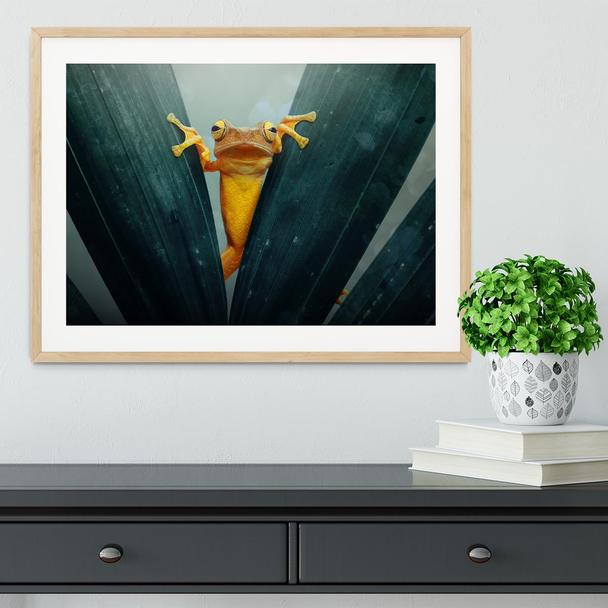 Gold Frog Framed Print - 1x - 3