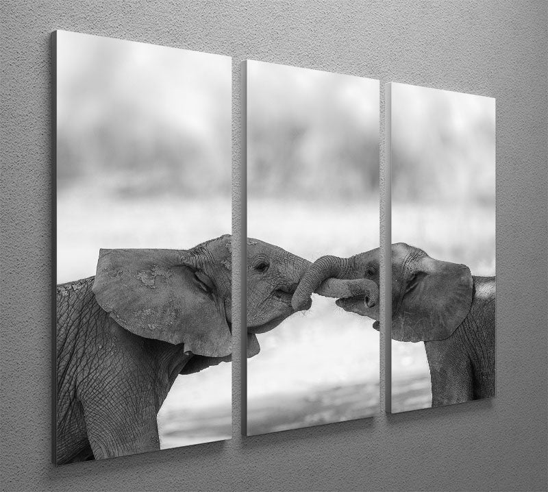 Greetings 3 Split Panel Canvas Print - 1x - 2