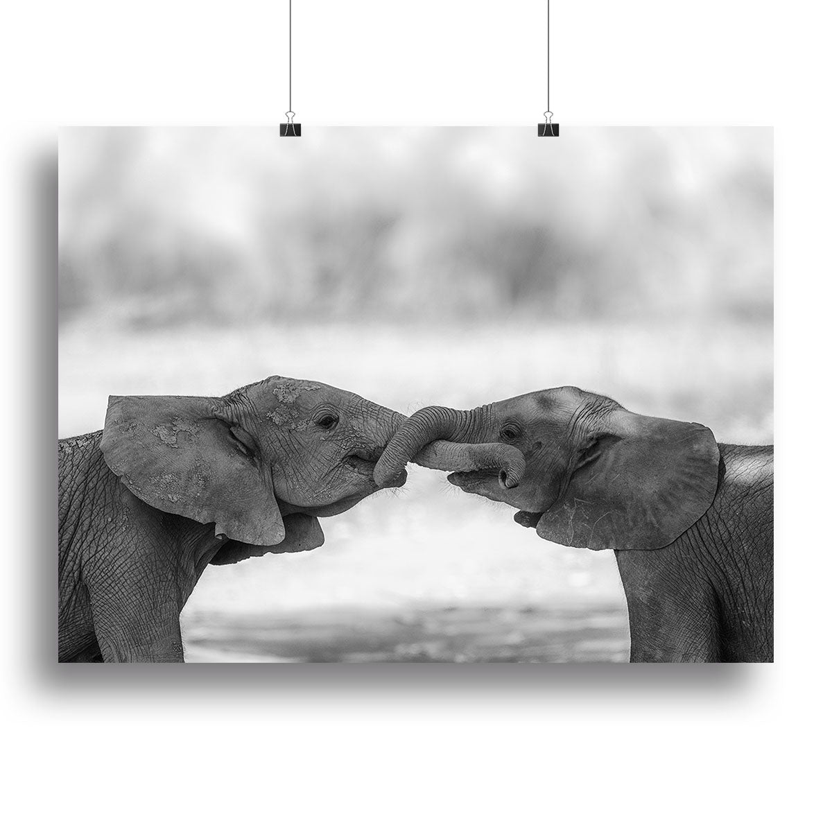 Greetings Canvas Print or Poster - 1x - 2