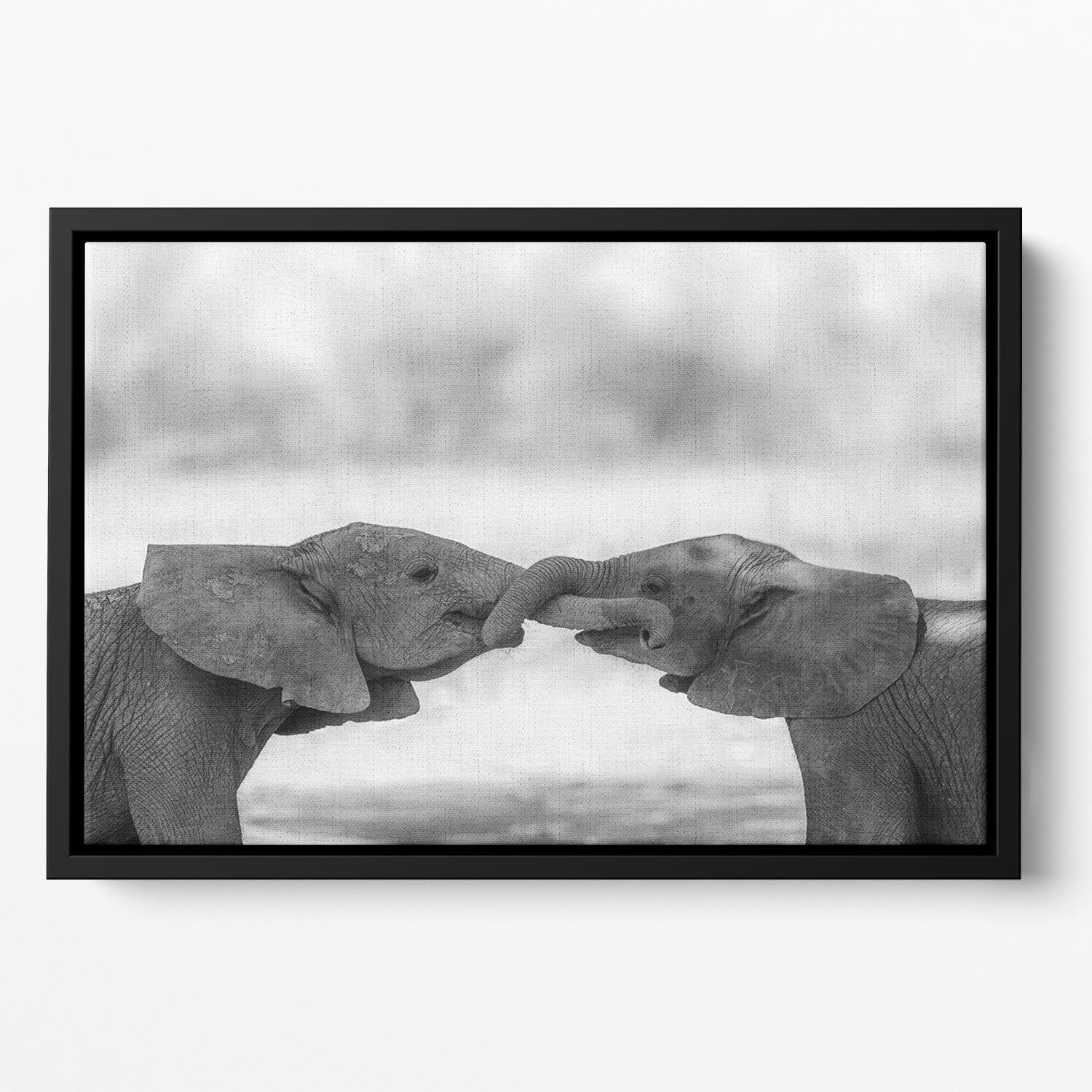 Greetings Floating Framed Canvas - 1x - 2