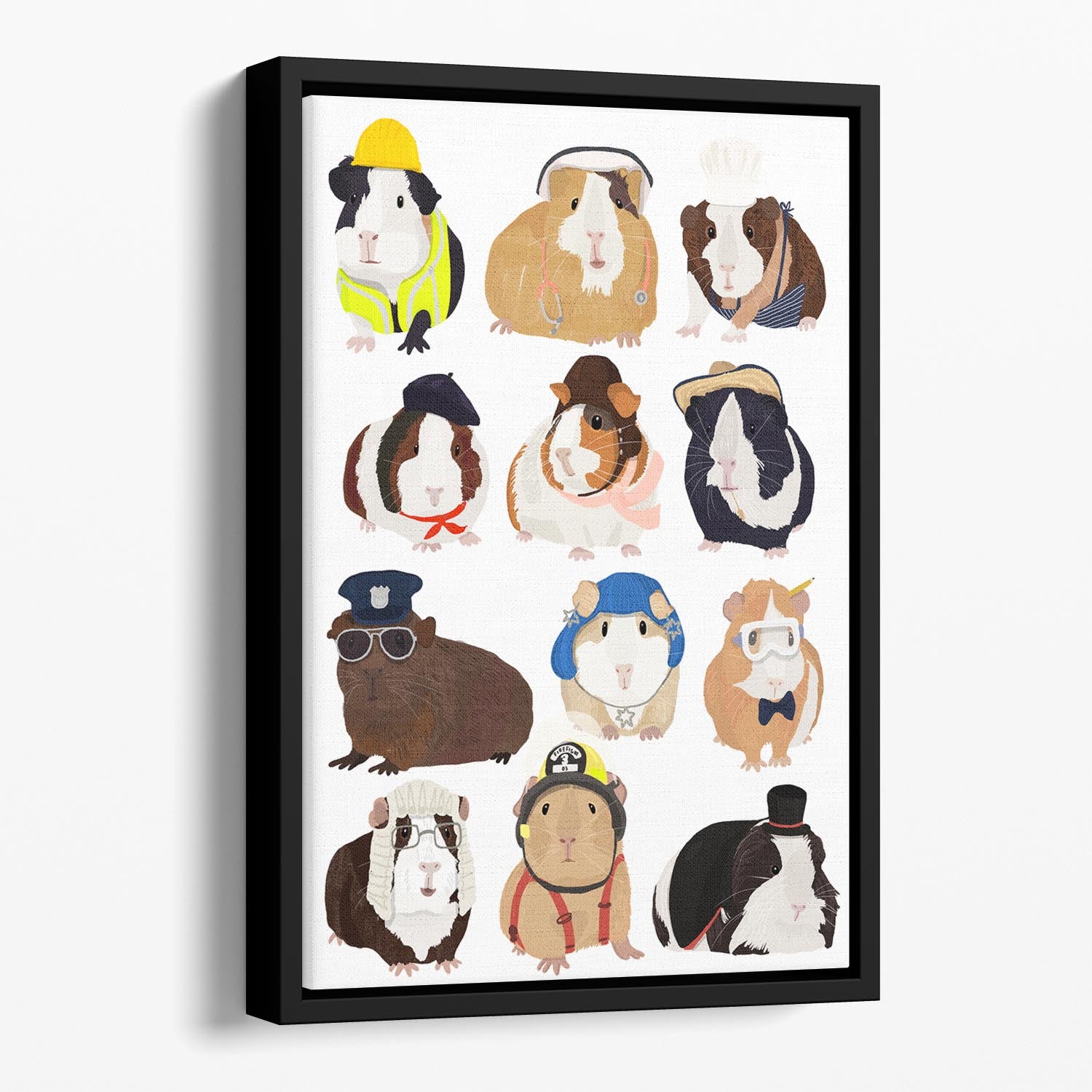 Guinea Pig Working Hr Floating Framed Canvas - 1x - 1