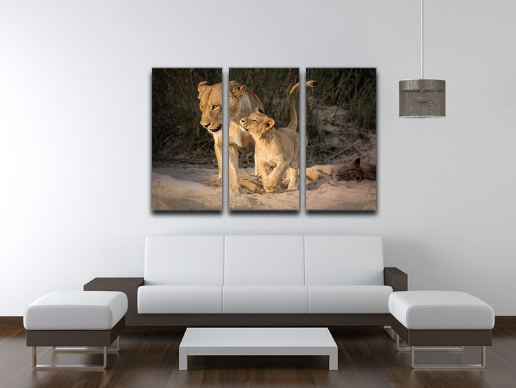 Happy 3 Split Panel Canvas Print - 1x - 3