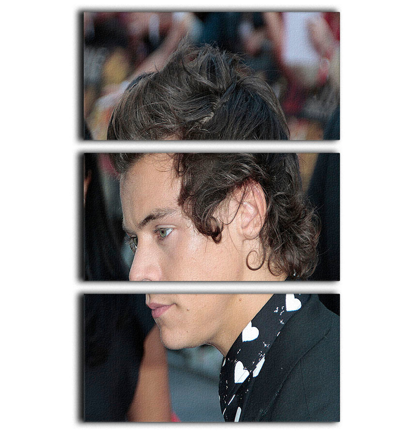 Harry Styles 2013 3 Split Panel Canvas Print - Canvas Art Rocks - 1