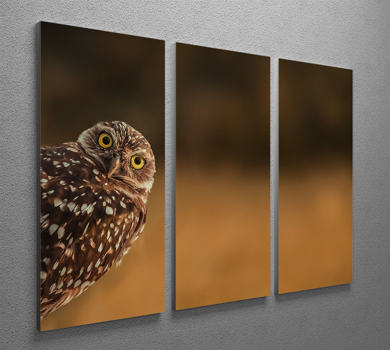 Hi there 3 Split Panel Canvas Print - 1x - 2