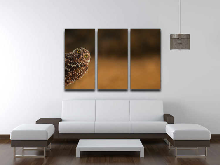 Hi there 3 Split Panel Canvas Print - 1x - 3