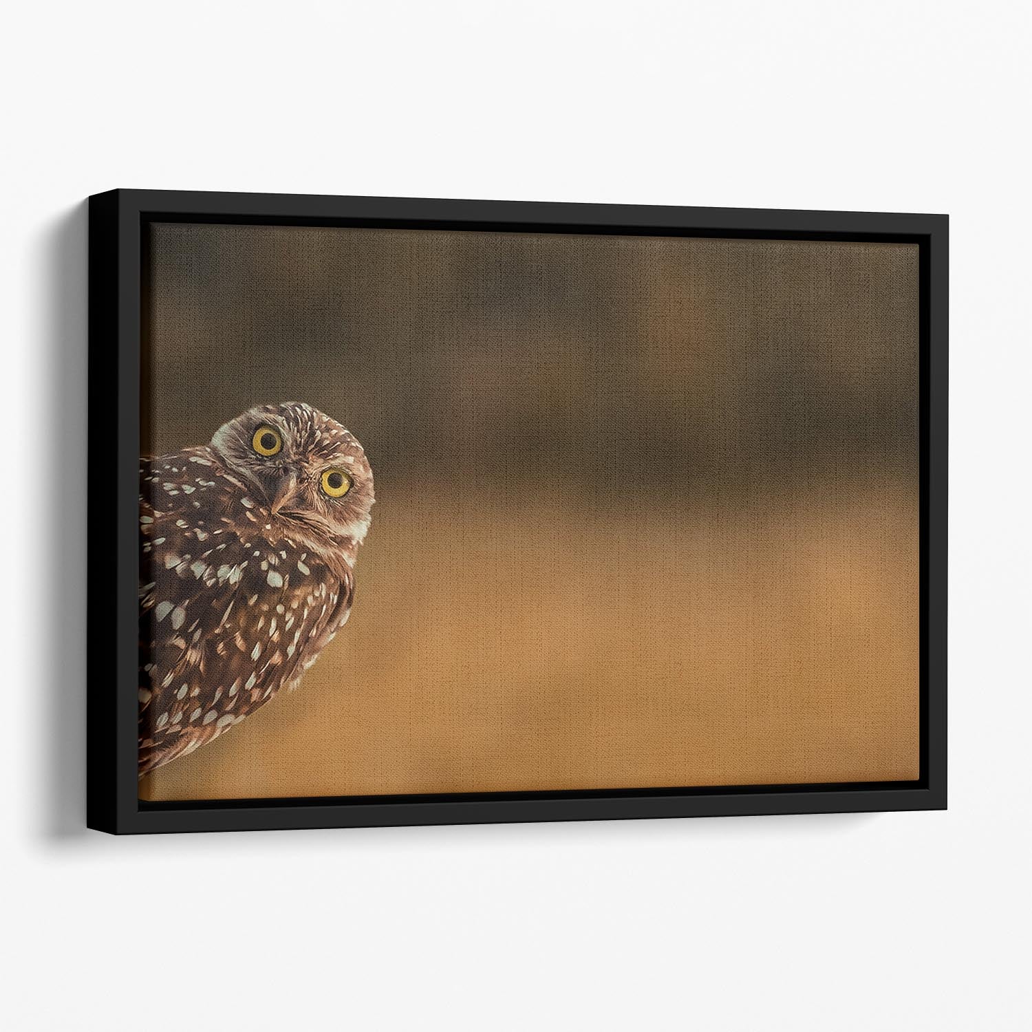 Hi there Floating Framed Canvas - 1x - 1