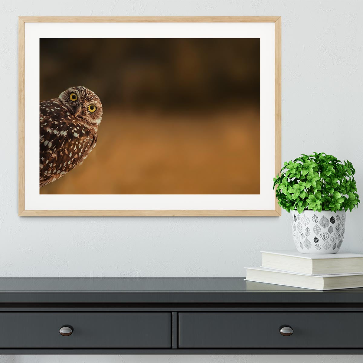 Hi there Framed Print - 1x - 3