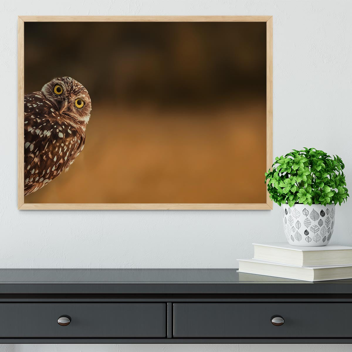 Hi there Framed Print - 1x - 4