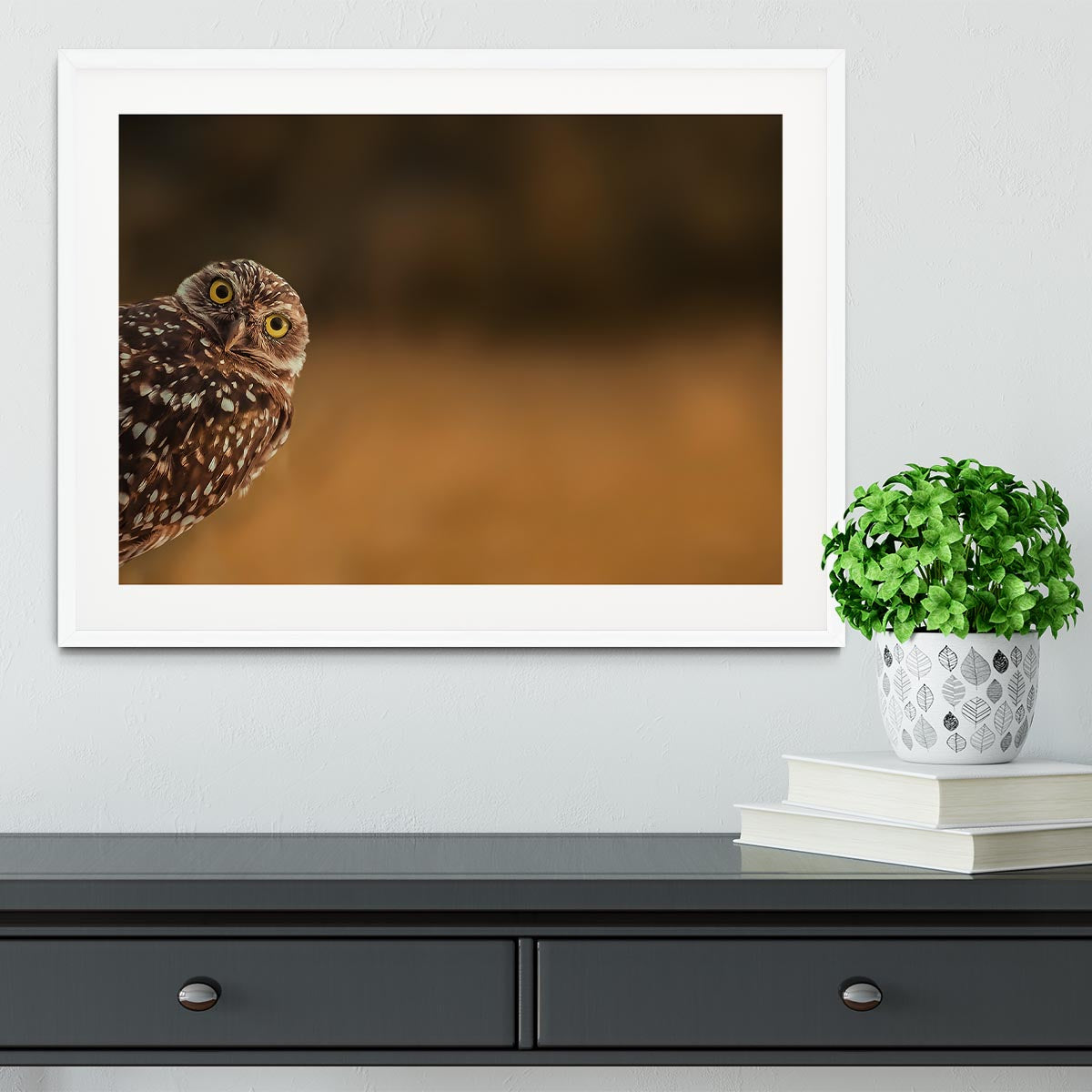 Hi there Framed Print - 1x - 5