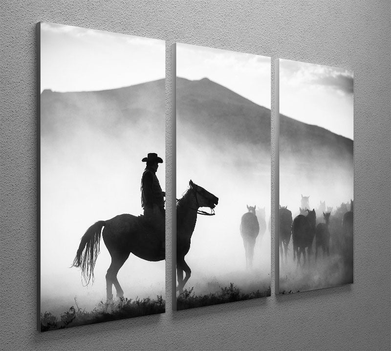 His Territory 3 Split Panel Canvas Print - 1x - 2