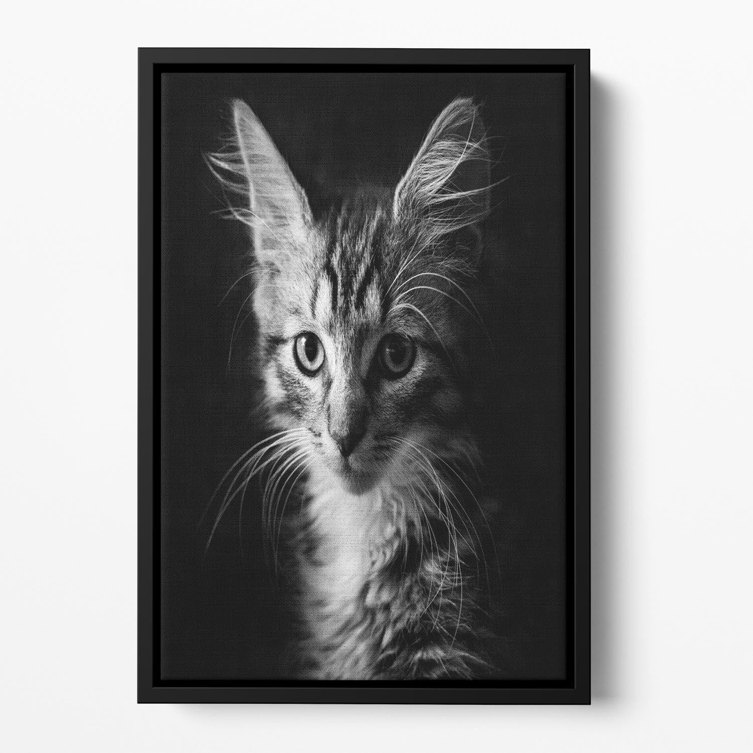 Laban Floating Framed Canvas - 1x - 2