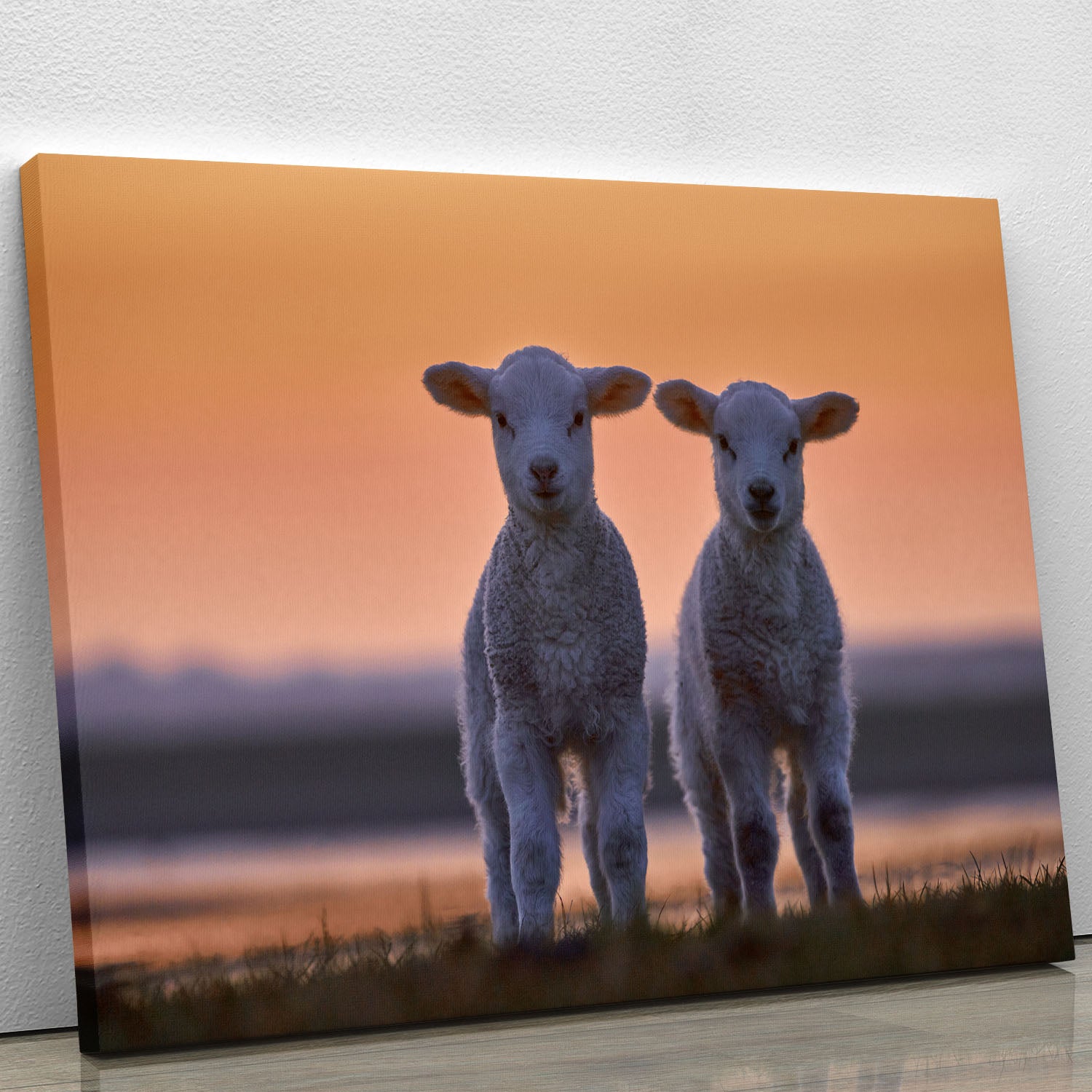 Lamb Twins Canvas Print or Poster - 1x - 1