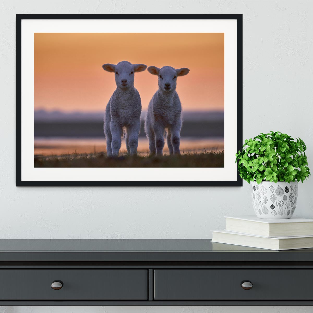 Lamb Twins Framed Print - 1x - 1