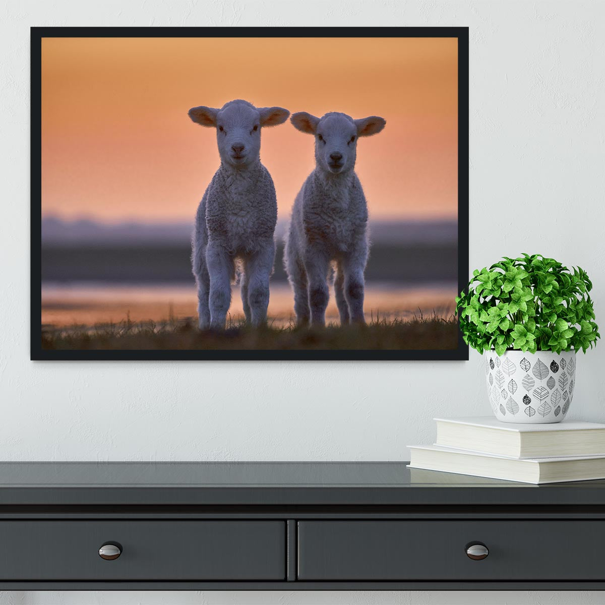 Lamb Twins Framed Print - 1x - 2