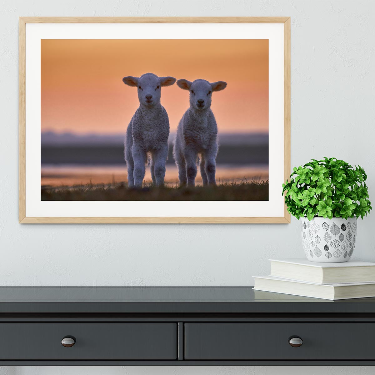 Lamb Twins Framed Print - 1x - 3