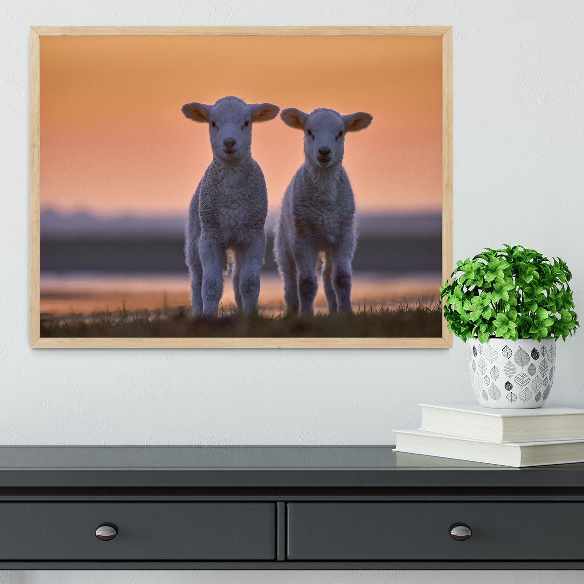 Lamb Twins Framed Print - 1x - 4