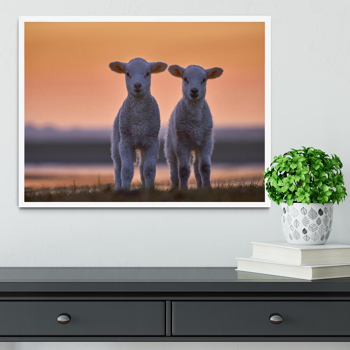 Lamb Twins Framed Print - 1x -6