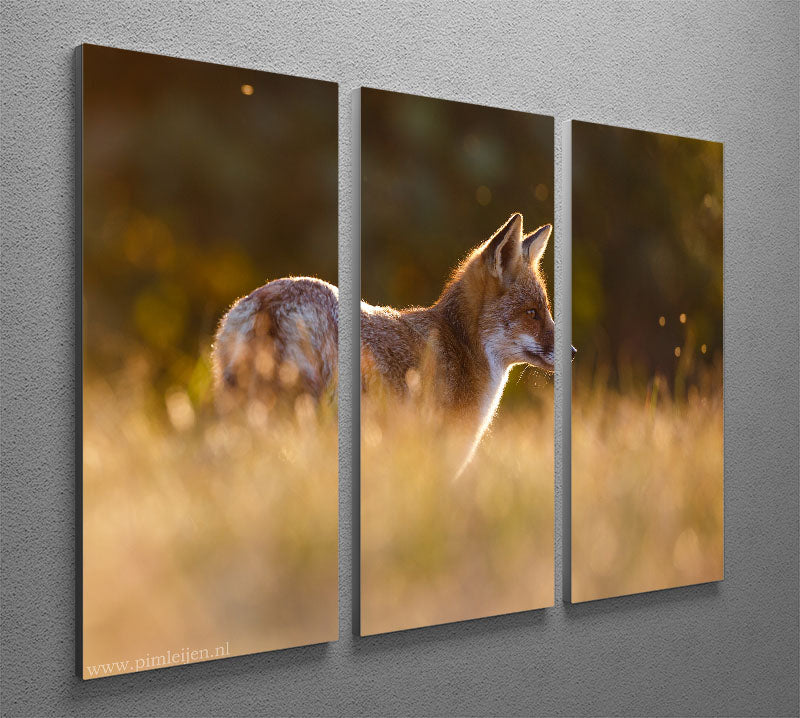 Last Light Fox 3 Split Panel Canvas Print - 1x - 2