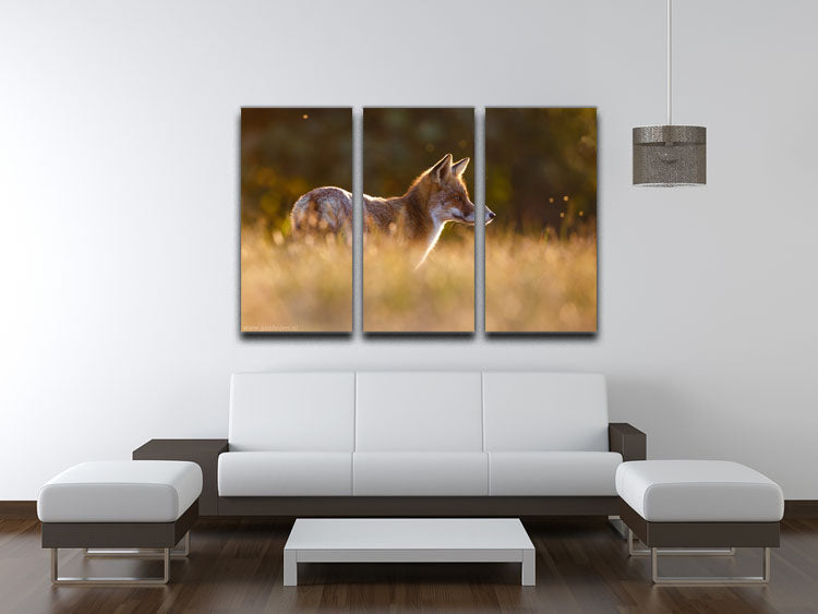 Last Light Fox 3 Split Panel Canvas Print - 1x - 3