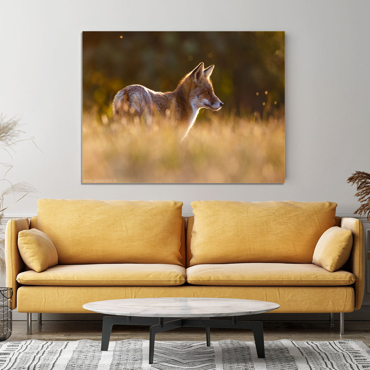 Last Light Fox Canvas Print or Poster - 1x - 4