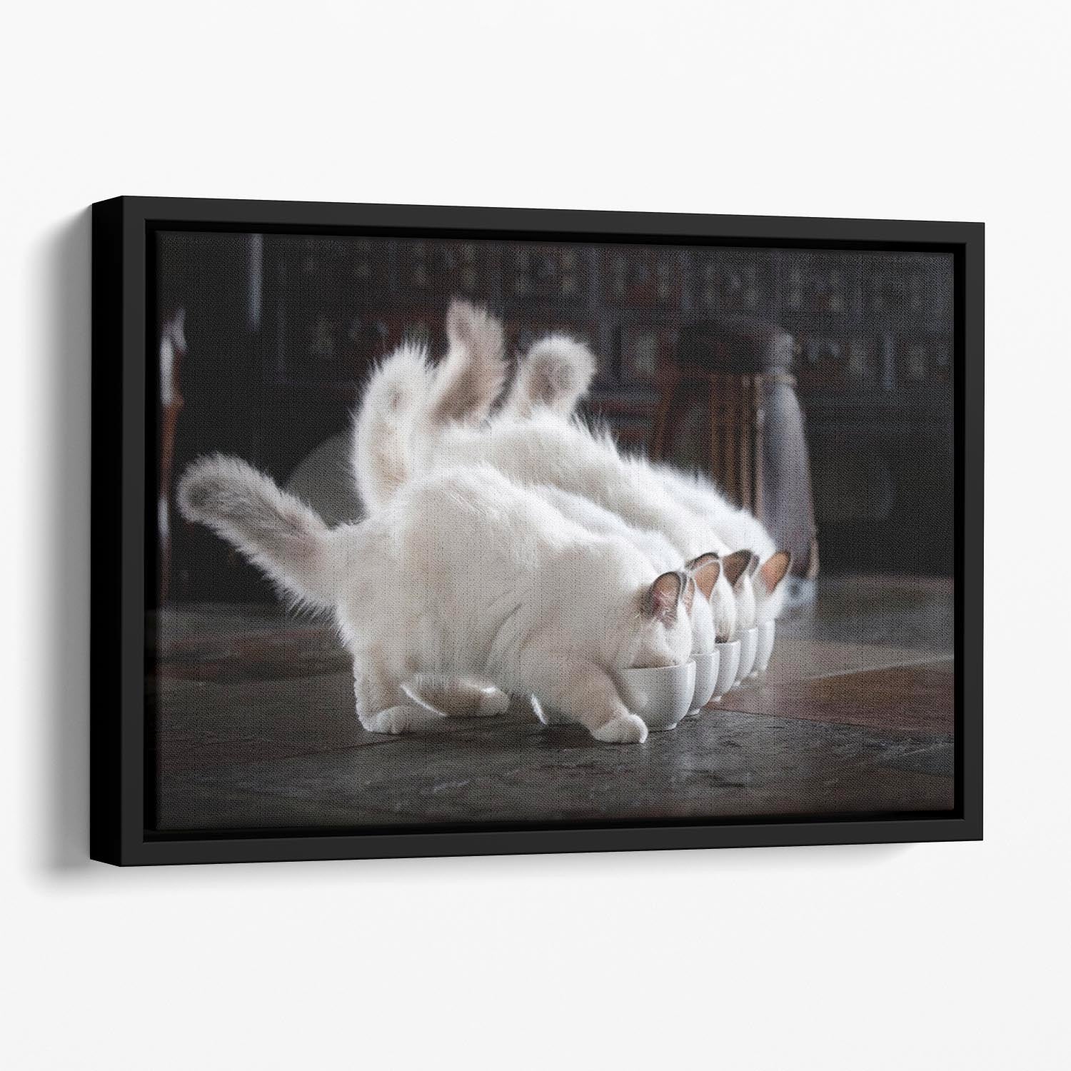 Let There Be Milk Floating Framed Canvas - 1x - 1