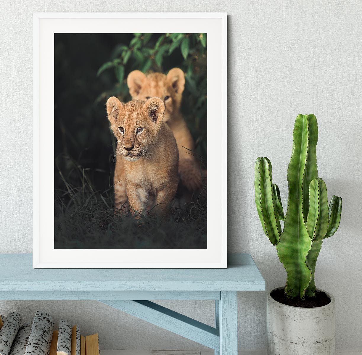 Lions Cub Framed Print - 1x - 5