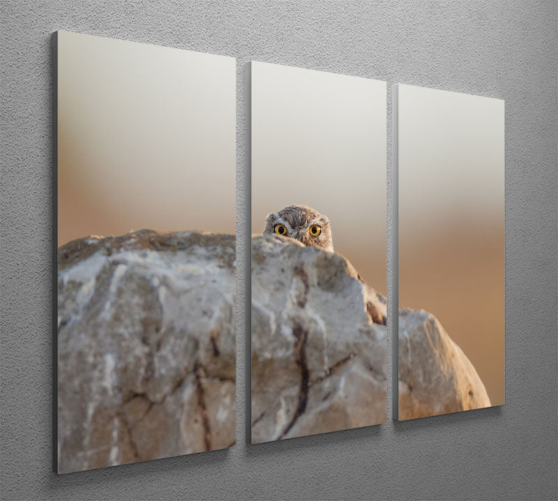 Little Owl 3 Split Panel Canvas Print - 1x - 2