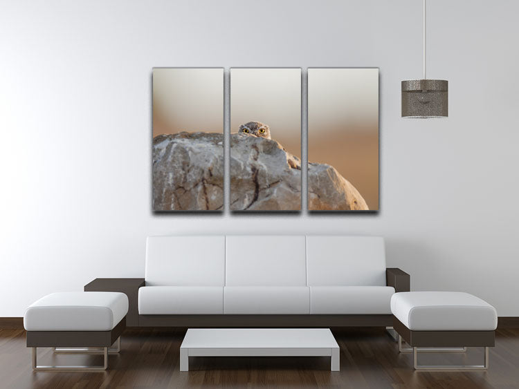 Little Owl 3 Split Panel Canvas Print - 1x - 3