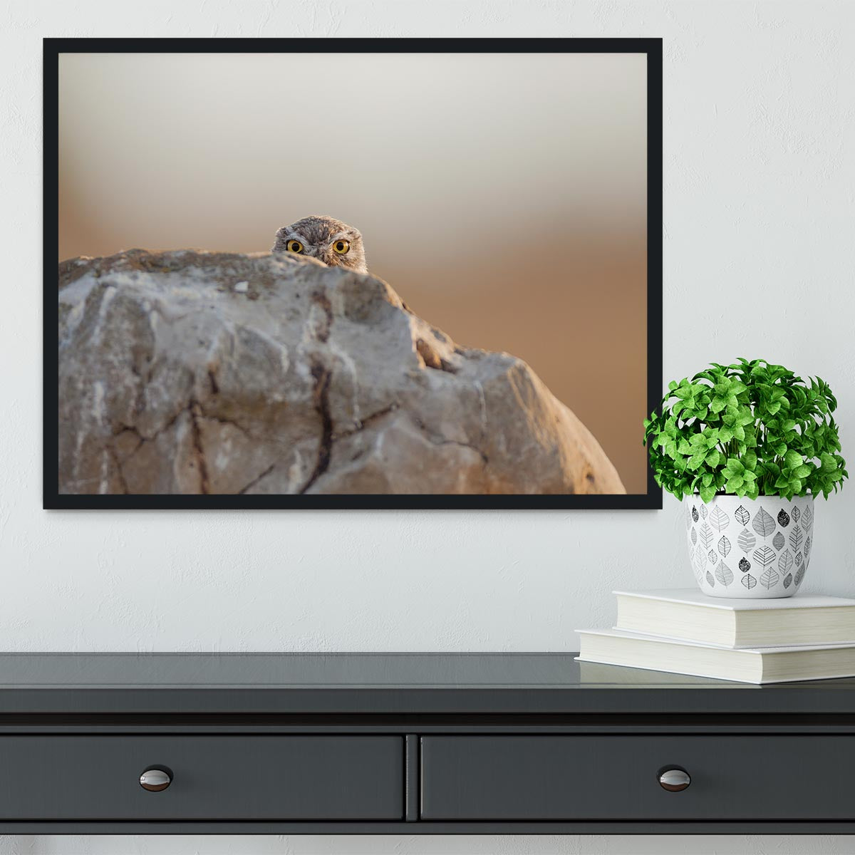 Little Owl Framed Print - 1x - 2