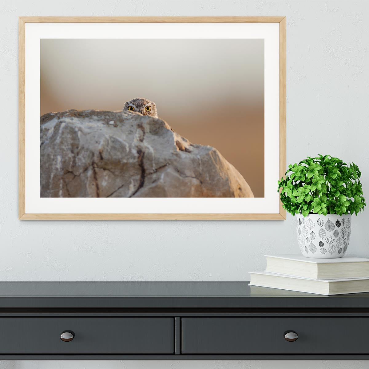 Little Owl Framed Print - 1x - 3