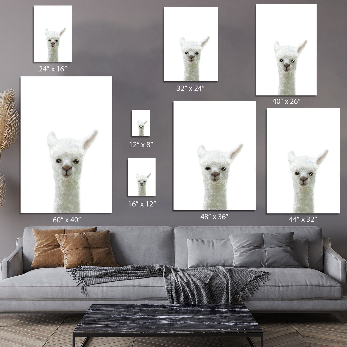 Llama Canvas Print or Poster - 1x - 7