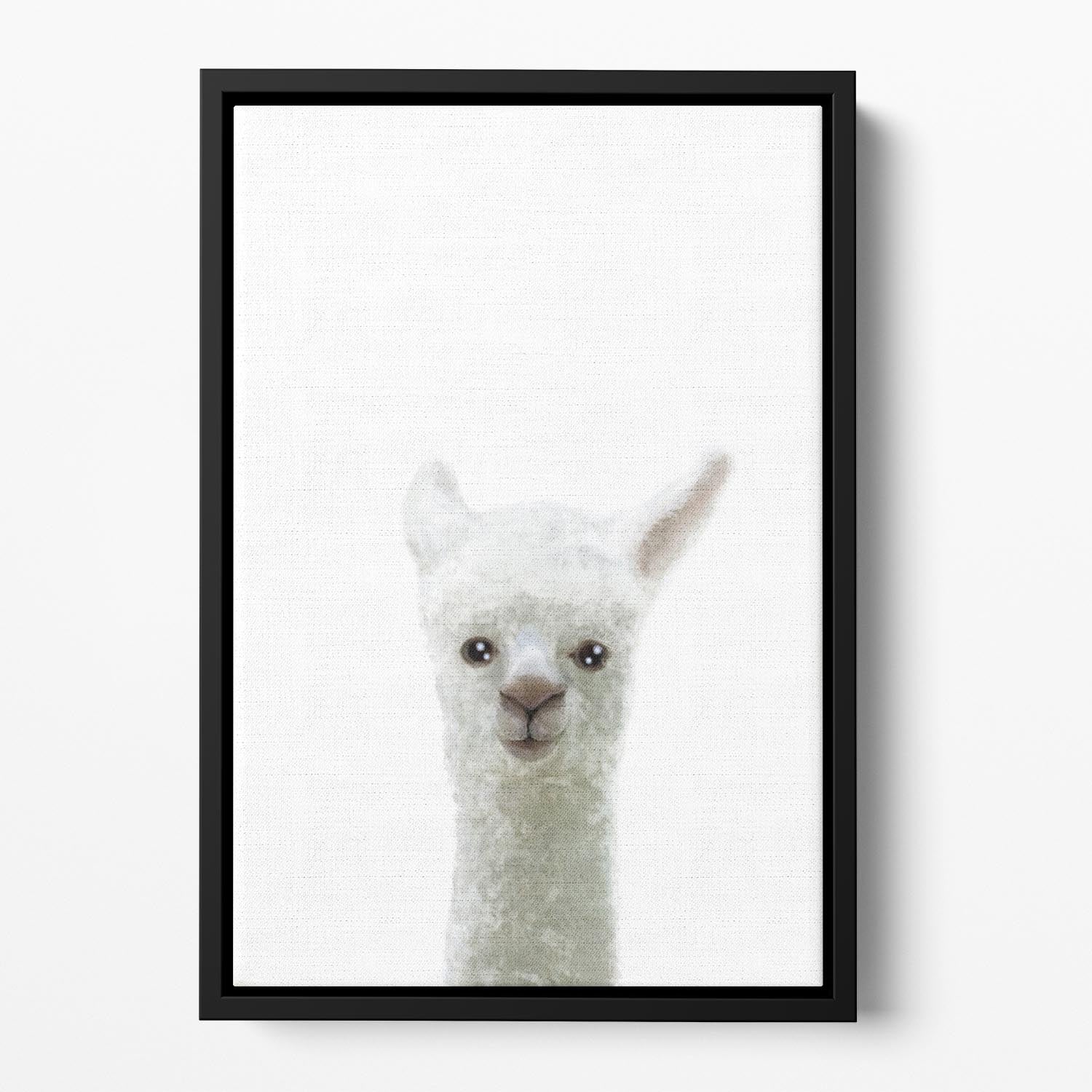 Llama Floating Framed Canvas - 1x - 2