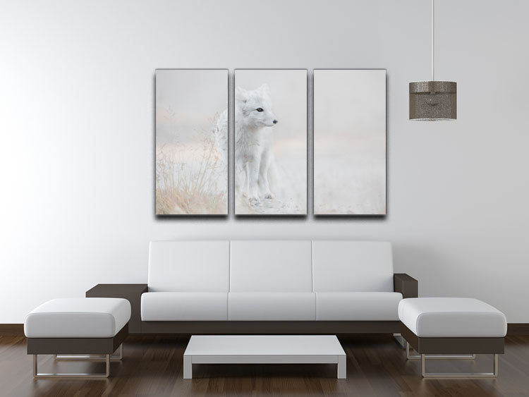 Looking around 3 Split Panel Canvas Print - 1x - 3