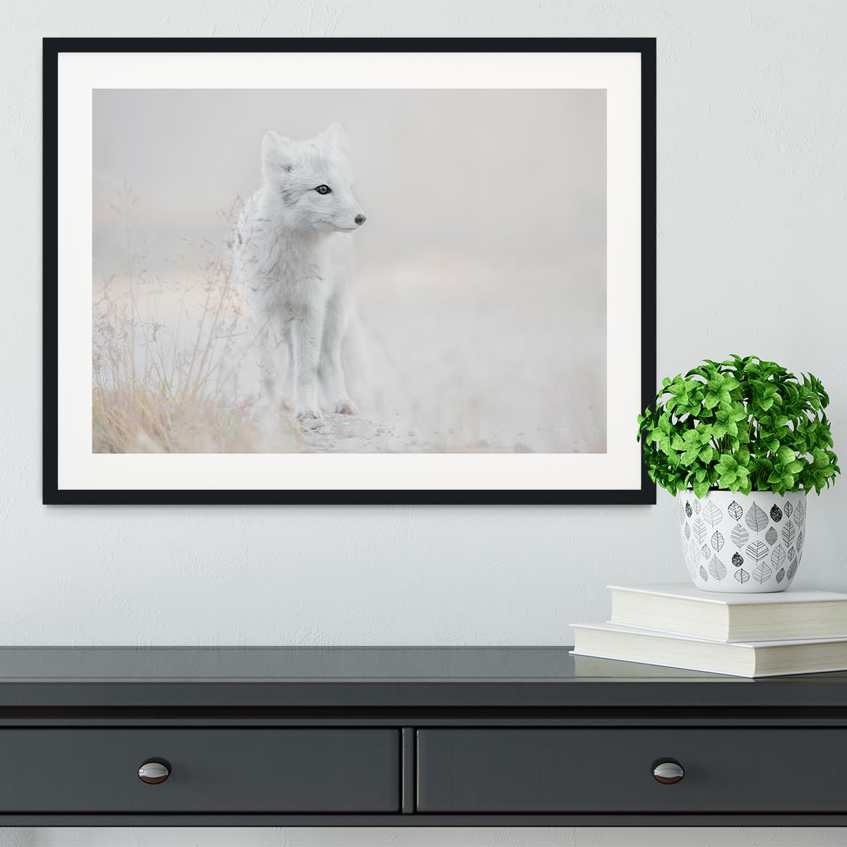 Looking around Framed Print - 1x - 1