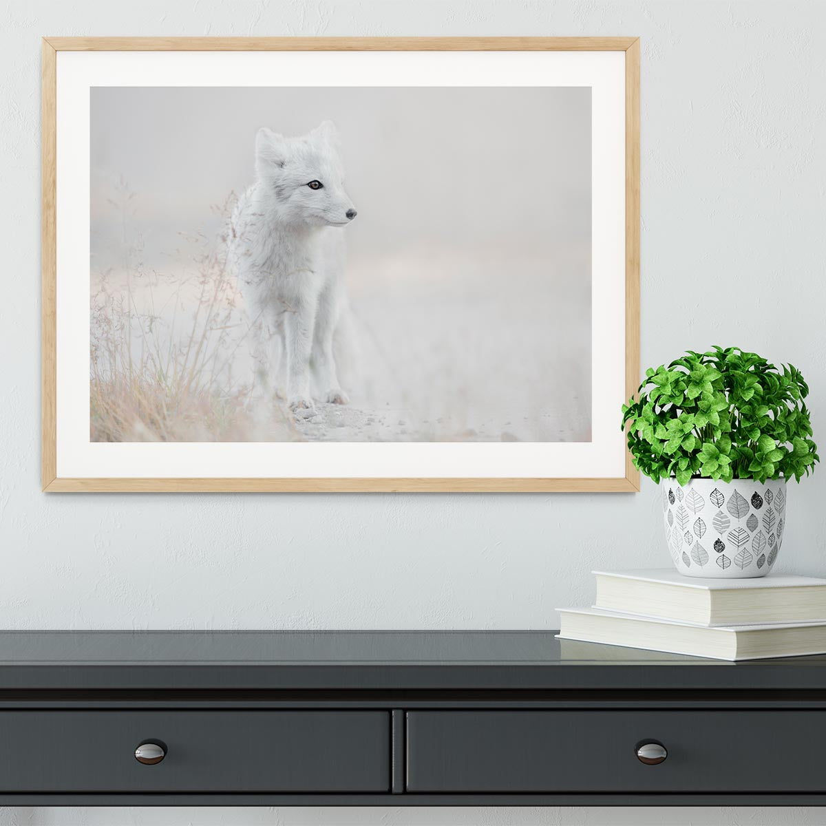 Looking around Framed Print - 1x - 3