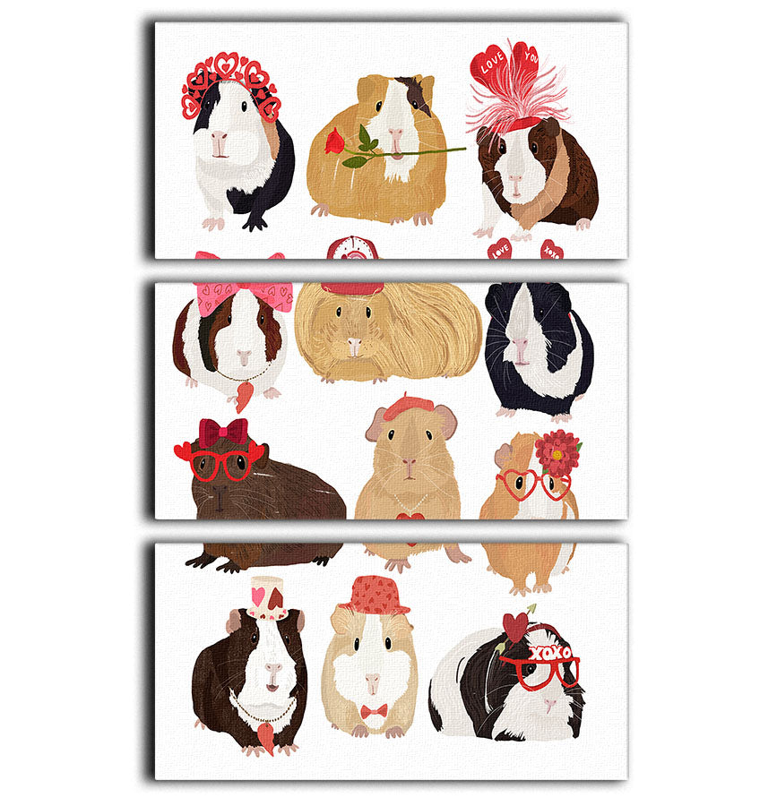 Love Guinea Pigs 3 Split Panel Canvas Print - 1x - 1