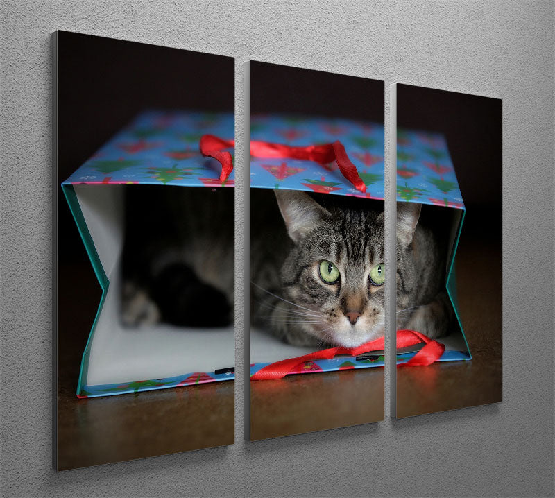 MY GREATEST GIFT 3 Split Panel Canvas Print - 1x - 2