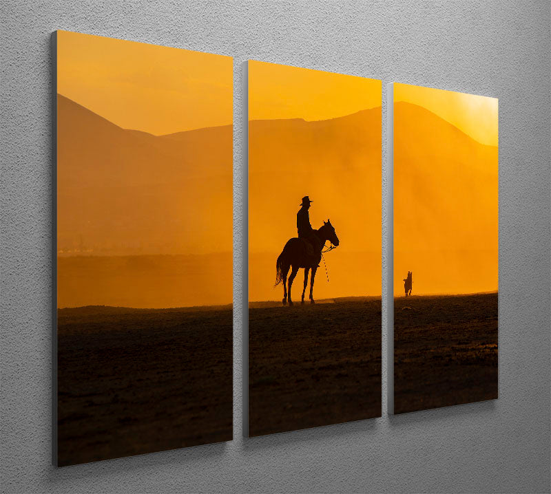 Mans Best Friends 3 Split Panel Canvas Print - 1x - 2