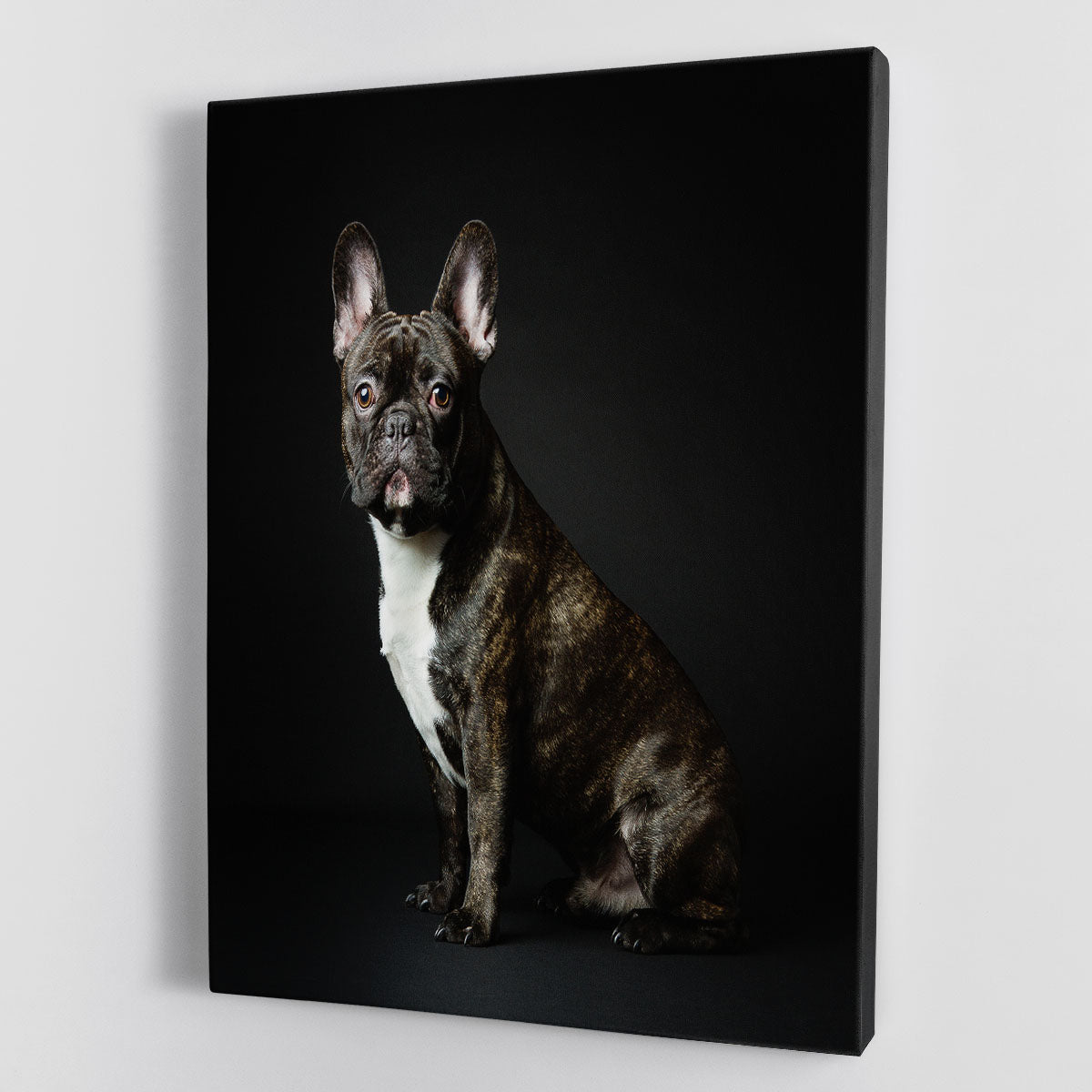 Max Canvas Print or Poster - 1x - 1