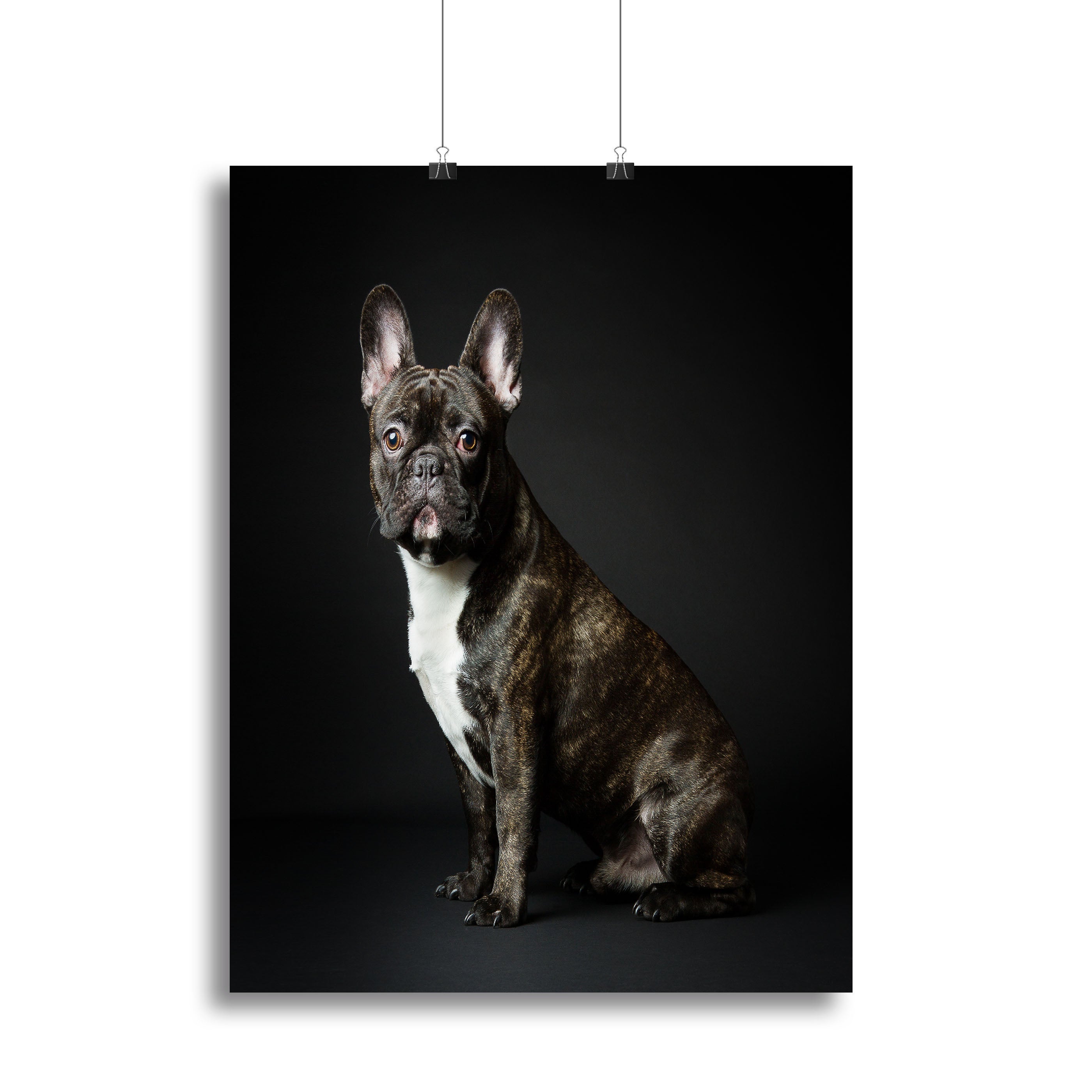 Max Canvas Print or Poster - 1x - 2