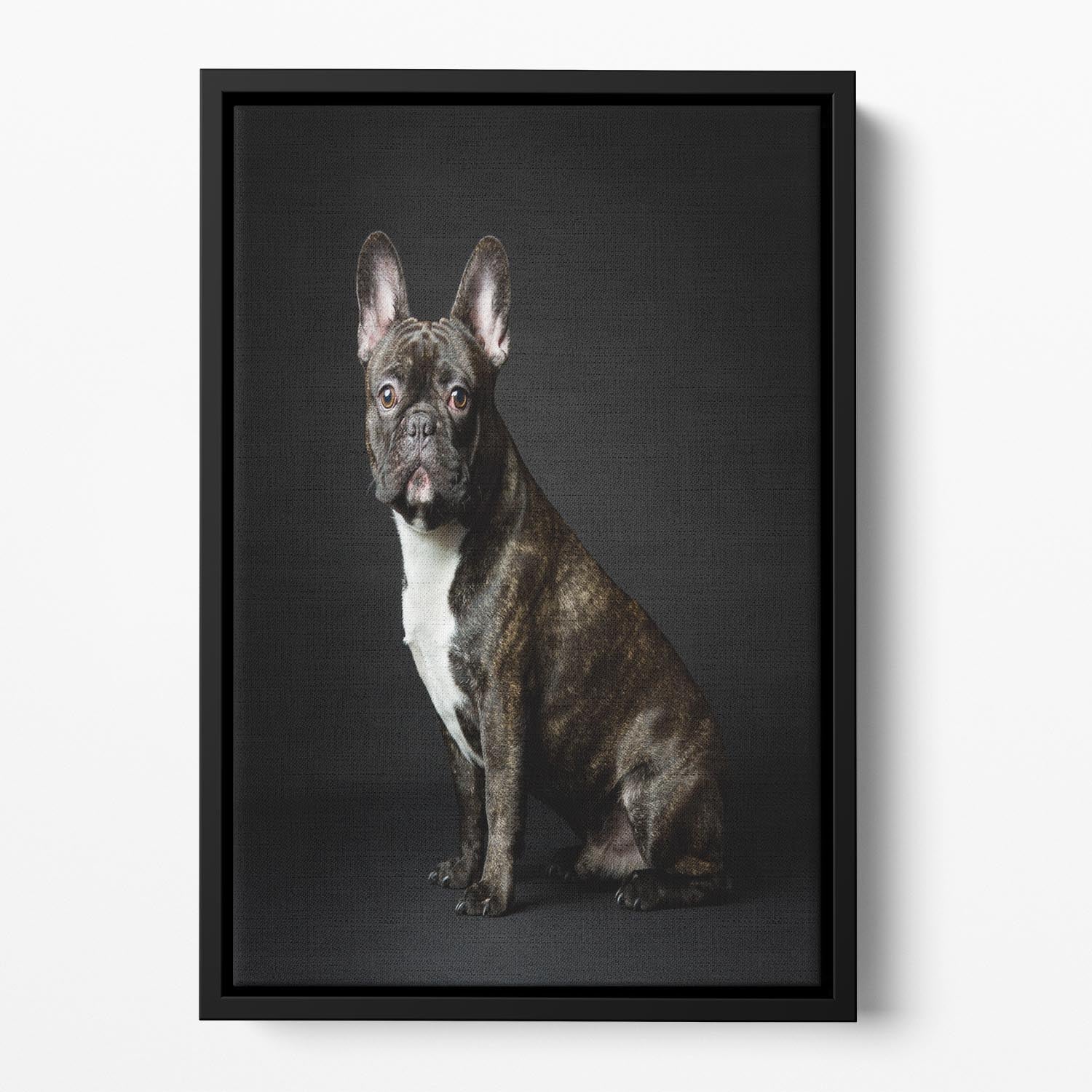 Max Floating Framed Canvas - 1x - 2