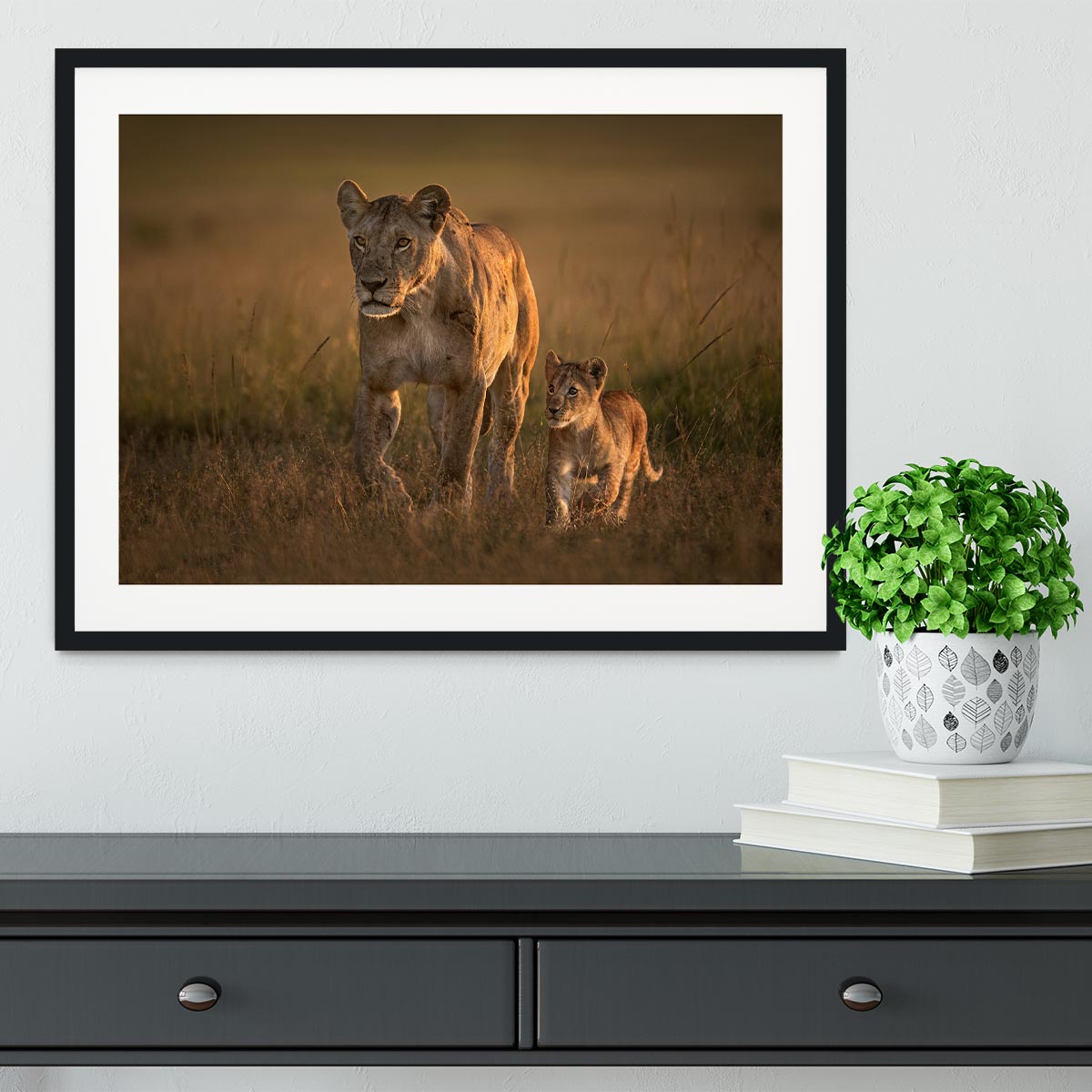 Mom lioness with cub Framed Print - 1x - 1