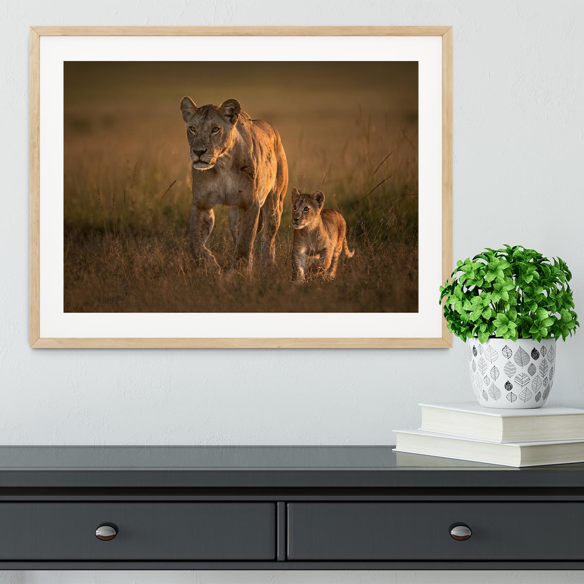 Mom lioness with cub Framed Print - 1x - 3