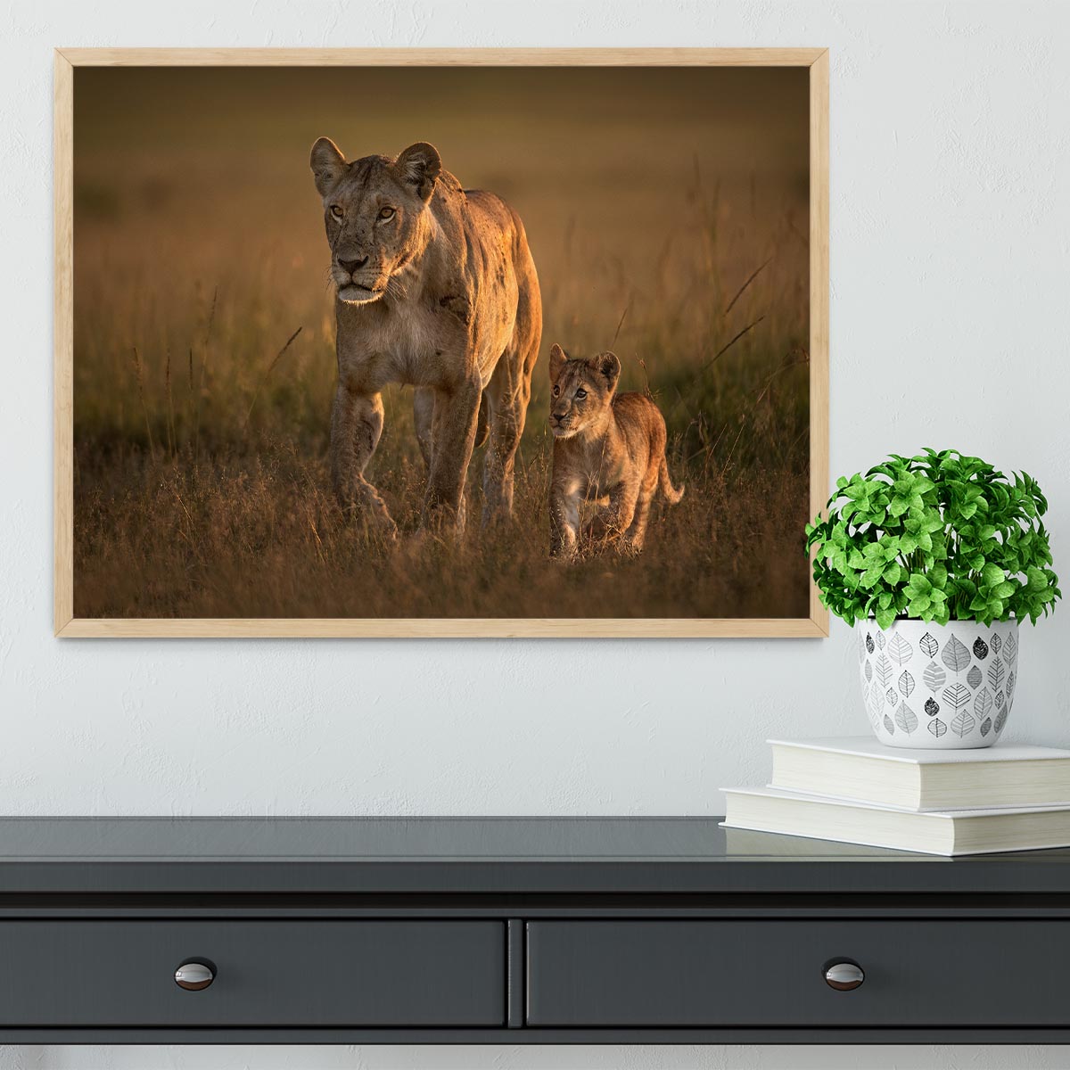 Mom lioness with cub Framed Print - 1x - 4